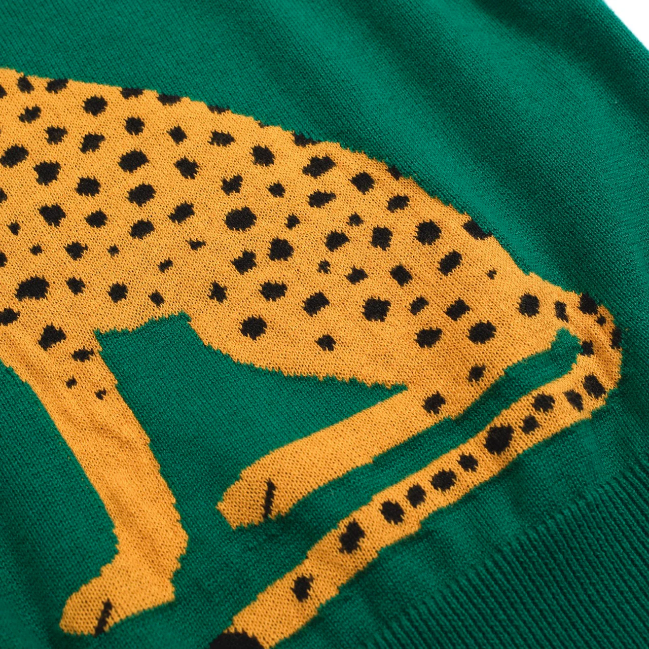Women’s Green Leopard Print Knit Set with Cheetah Graphic - Image 16